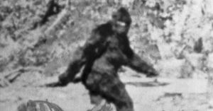 Bigfoot With ‘Weird Smell’ Leads to Latest Claim of Proof