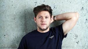 One Direction’s Niall Horan Falls ‘Extremely Ill’ on Flight