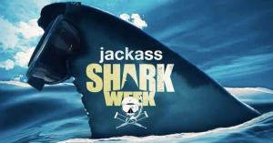 ‘Jackass’ Star Suffers Shark Bite While Filming Wakeboard Stunt