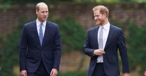 Prince Harry, William Documentary Sparks Rare Reaction From Buckingham Palace Over ‘Unfounded’ Claims