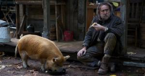 Nicolas Cage’s New Movie Has Nearly Perfect Score on Rotten Tomatoes