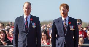 Prince William and Prince Harry’s Relationship Reportedly Takes Another Sour Turn