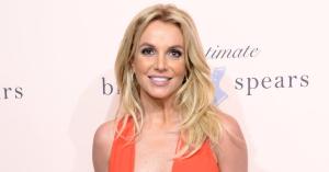 Britney Spears Reportedly ‘Thrilled’ After Reunion With Missing Dogs