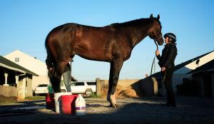 Kentucky Derby 2021: Medina Spirit Wins 147th Race