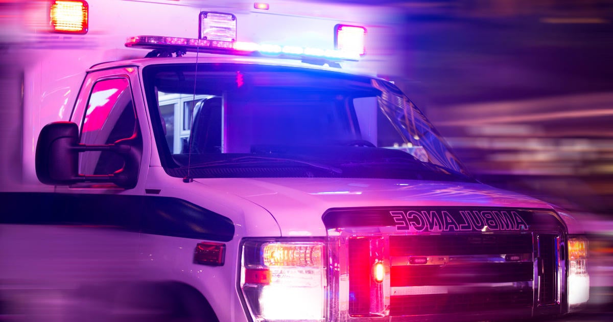 Reality TV Star Rushed to Hospital and 'Nearly Died' Gemma Collins Details Scary Sting