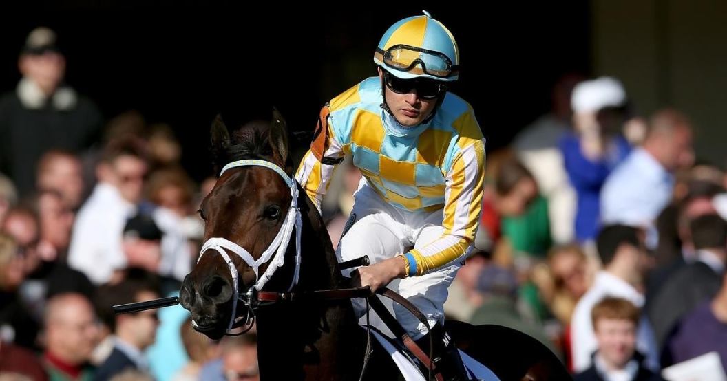 miguel-mena-kentucky-derby-favorite-killed-pedestiran-crash.jpg