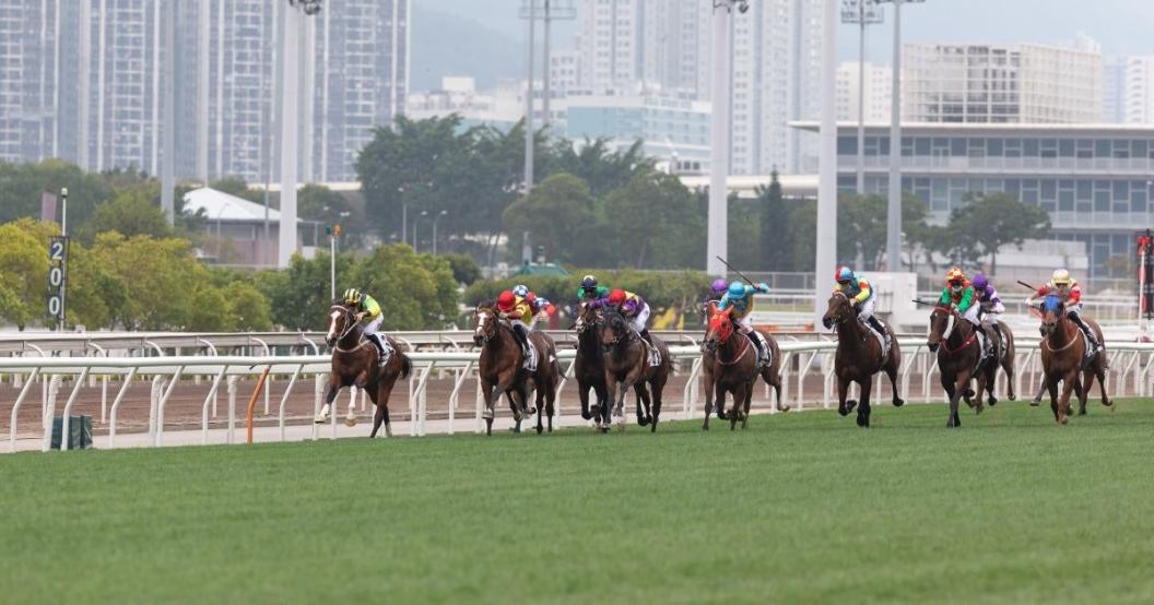 3-jockeys-hopsitalized-2-horse-dead-scary-race-accident.jpg