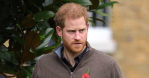 Prince Harry Labeled ‘Controversial and Divisive’ Over Impending Award