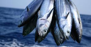 Frozen Fish Brand Recalls Product After Customer Reports Fish Poisoning