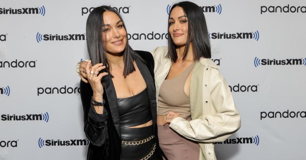 bella-twins-getty-images.jpg