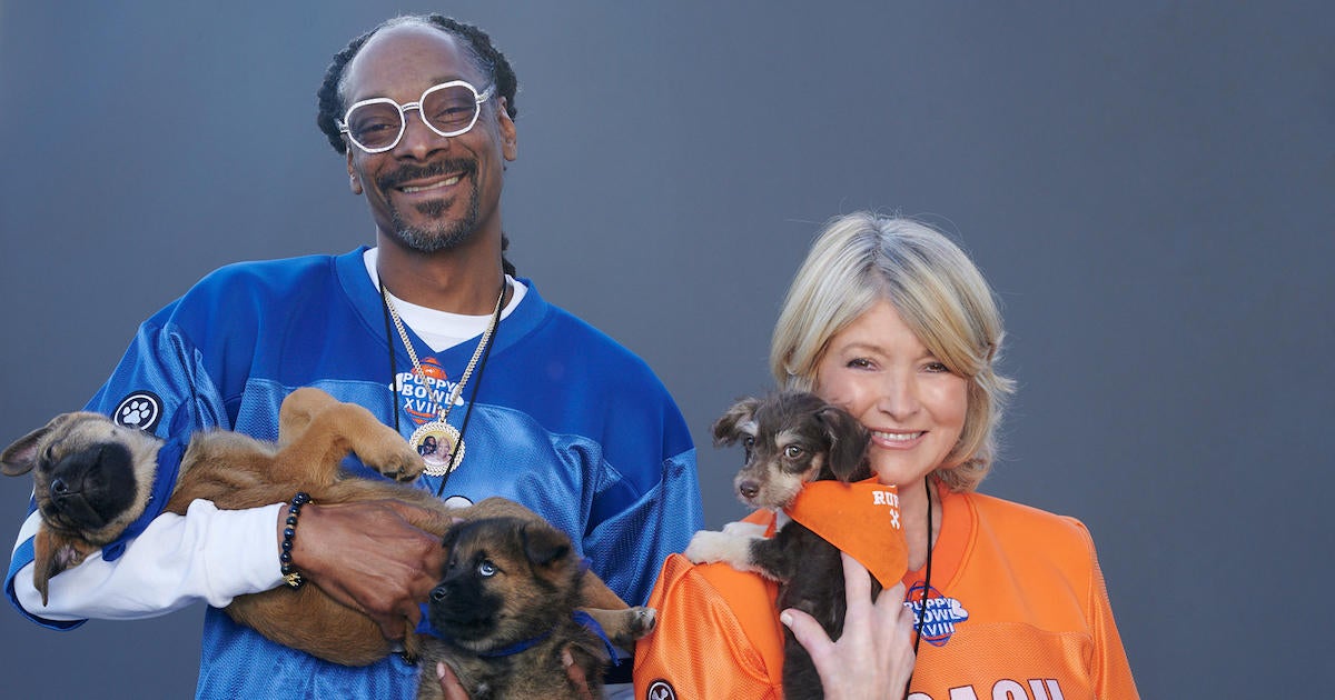 Puppy Bowl 2022 Martha Stewart and Snoop Dogg Will CoHost