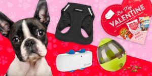 Valentine’s Day 2022: 7 Problem-Solving Products for the Best Pet in Your Life