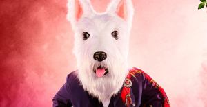‘The Masked Singer’: McTerrier Is a Celebrity Chef