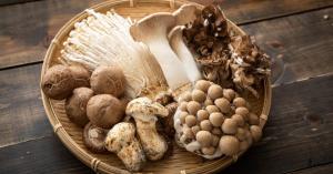 Mushroom Recalls Continue to Stack Up