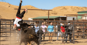 ‘Jackass Forever’ Stars Wee Man and Preston Lacy Liken Johnny Knoxville’s Bull Stunt to ‘Horrible Car Crash’ (Exclusive)