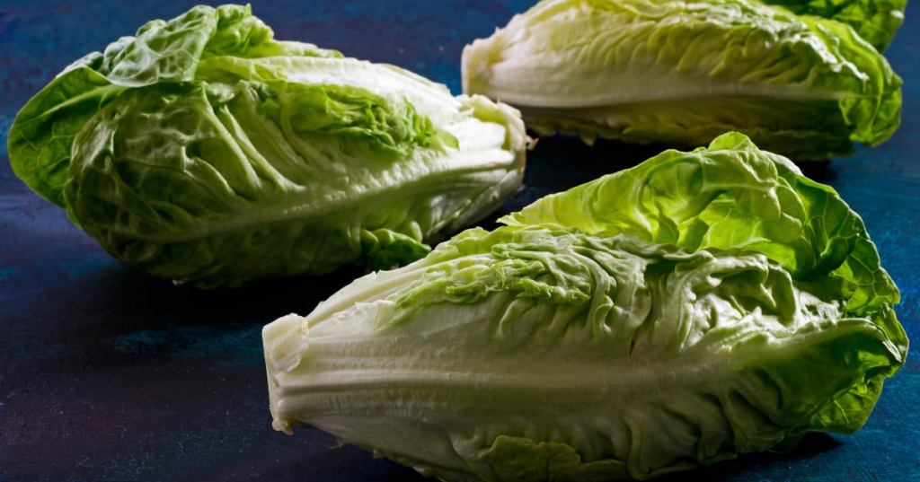 romaine-lettuce.jpg