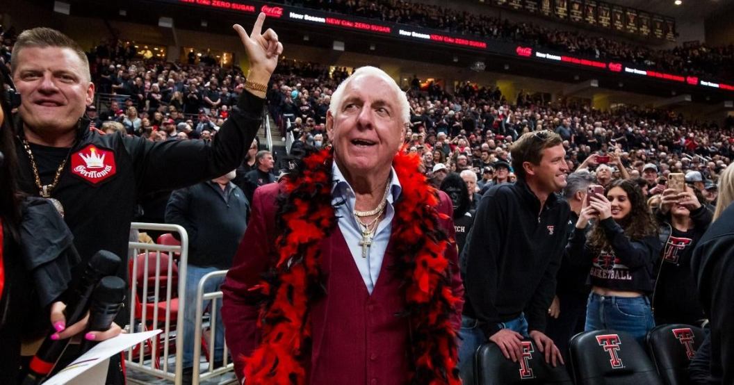 wwe-hall-of-famer-ric-flair-pro-wrestling-return.jpg