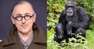 Mystery of Alan Cumming’s Chimpanzee Co-Star From ‘Buddy’ Just Took a Huge Turn