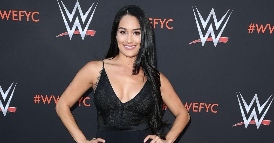 nikki-bella-give-update-next-run-wwe.jpg