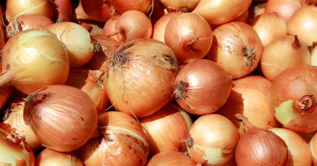 food-onions.jpg