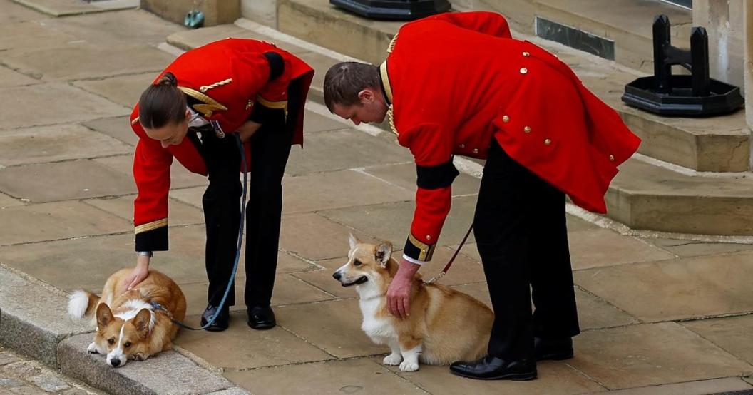 corgis-queen-funeral-getty-images.jpg