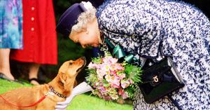 Queen Elizabeth’s Will Reveals Who Will Receive Her Pet Corgis, Horses