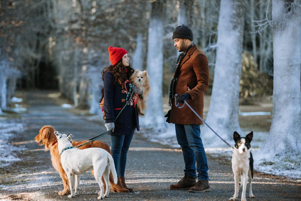 lifetime-the-dog-days-of-christmas.jpg