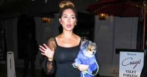 Farrah Abraham Shamed for Dyeing Her Dog’s Fur