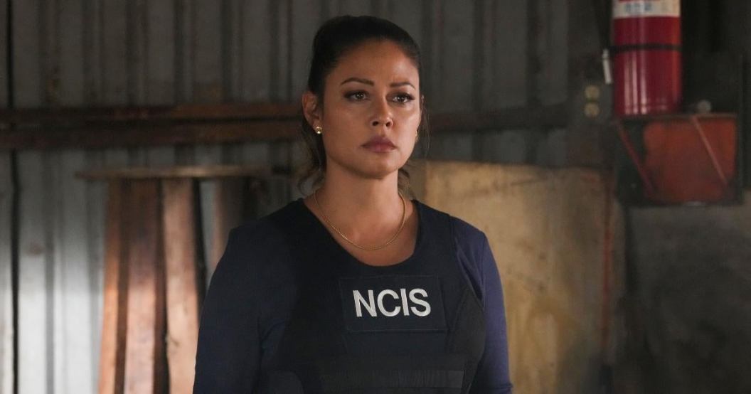 vanessa-lachey-ncis-hawaii-season-2.jpg