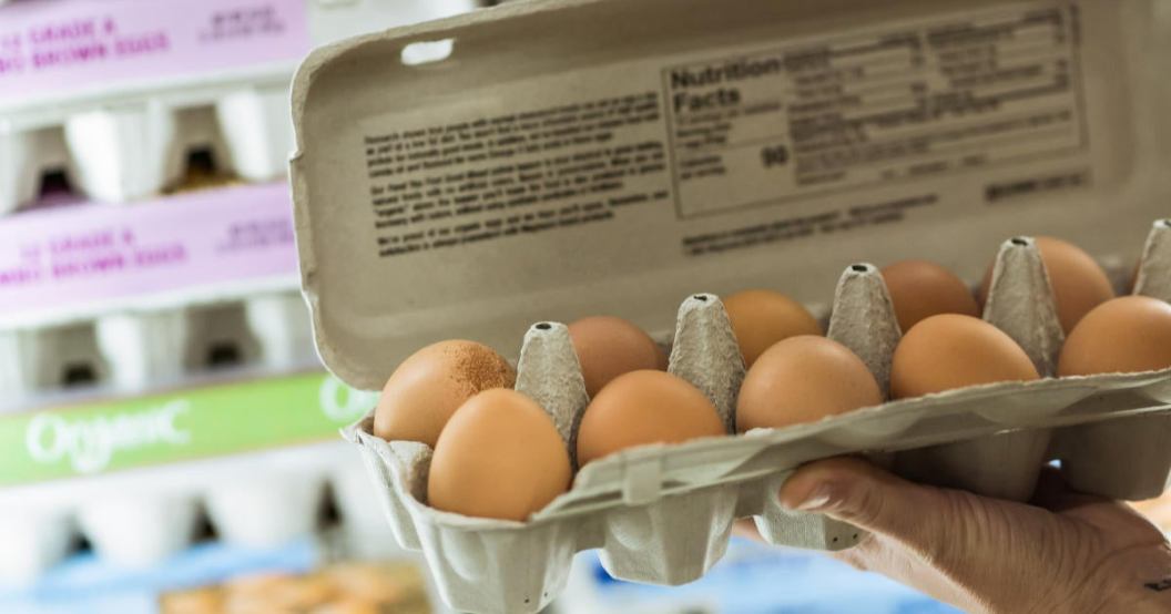 egg-carton.jpg