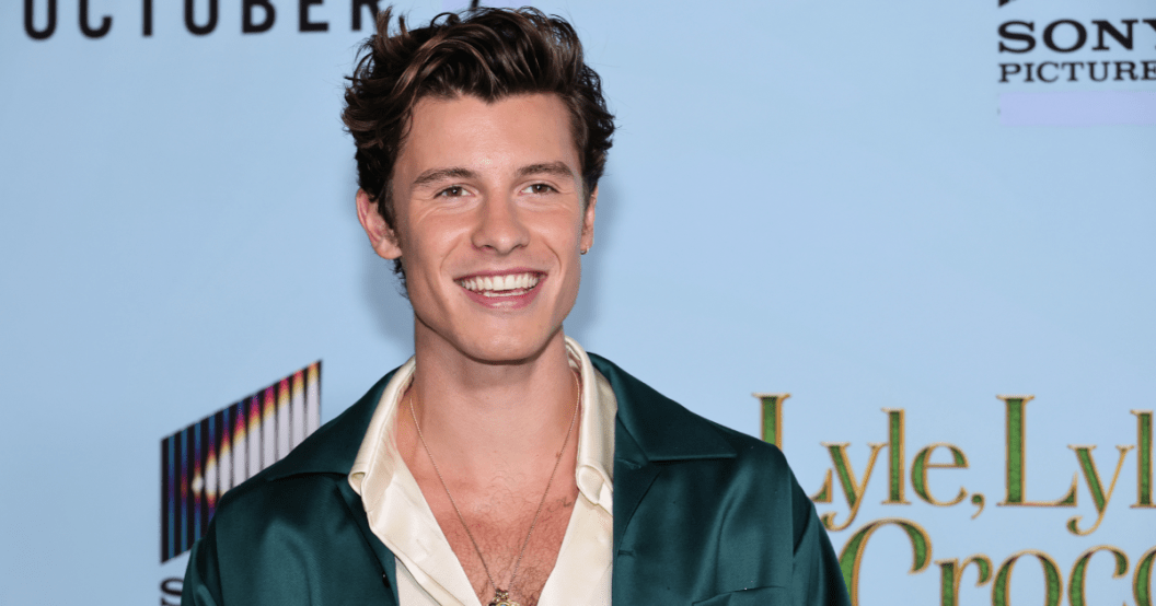shawn-mendes-getty-images.png