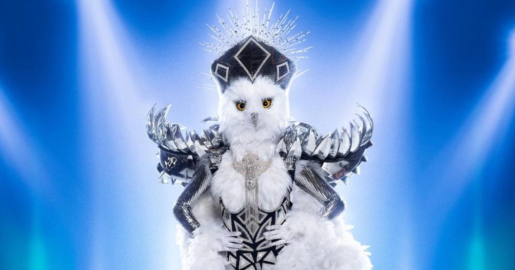 masked-singer-night-owl-fox.jpg