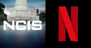 ‘NCIS’ Alum Has Role in Netflix’s New No. 1 Show