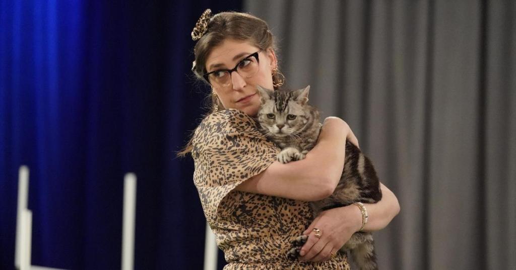 call-me-kat-mayim-bialik.jpg