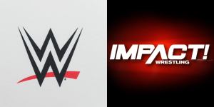 WWE and Impact Wrestling Star Retires