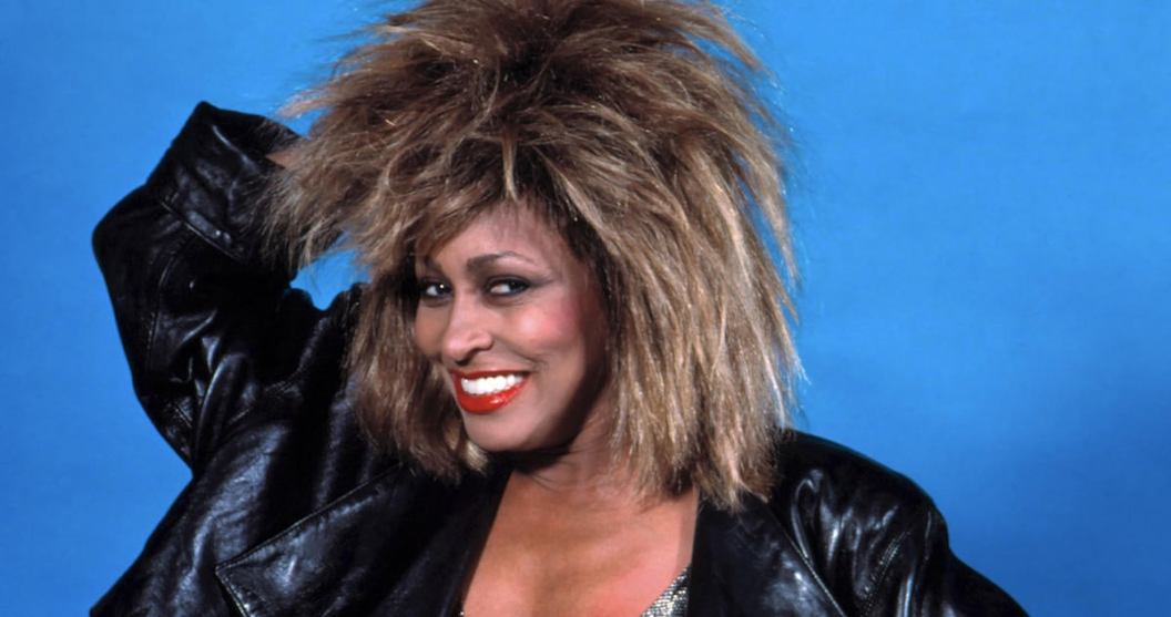 Tina Turner At The Poplar Creek Music Theater