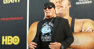 Hulk Hogan Engaged to Yoga Instructor Sky Daily