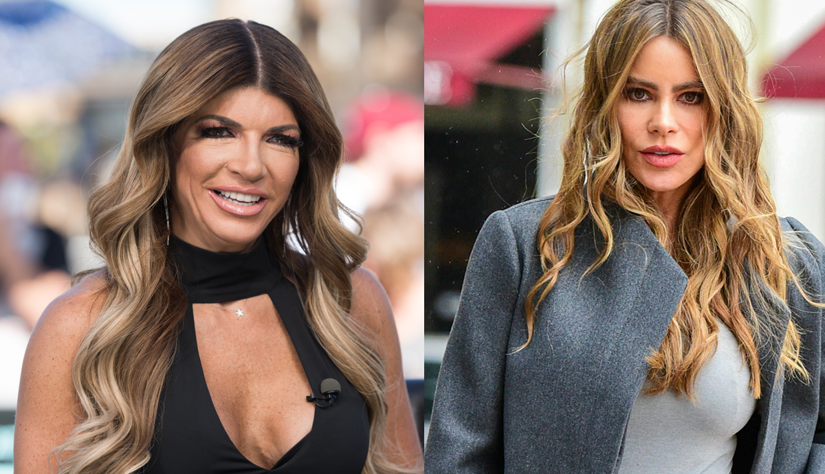 'RHONJ' Star Teresa Giudice Slams Sofia Vergara as 'Rudest' Celeb Ever