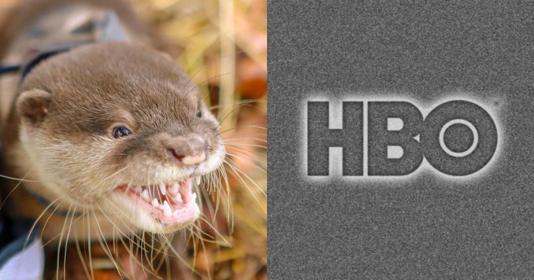 otter-hbo.jpg