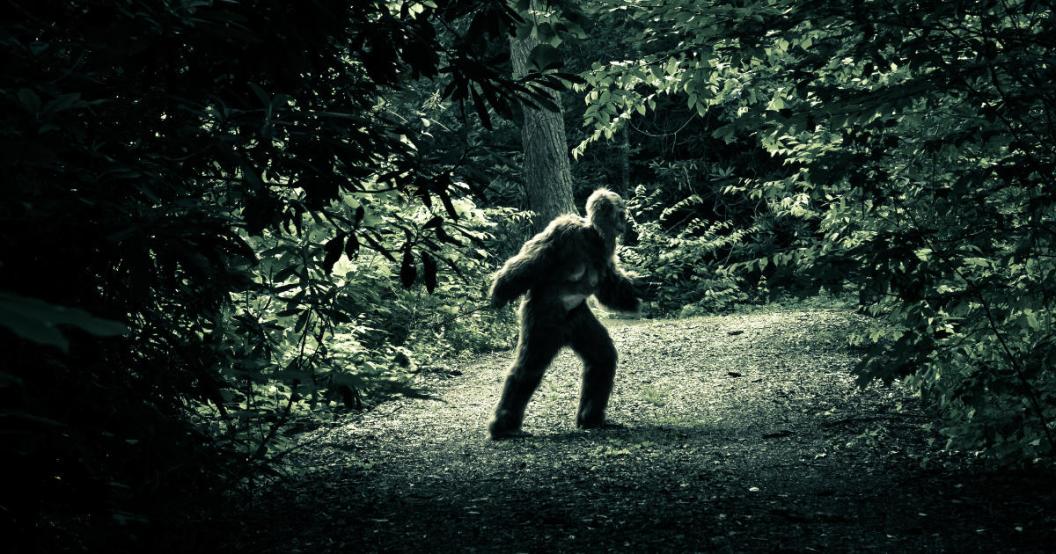 bigfoot-sasquatch.jpg