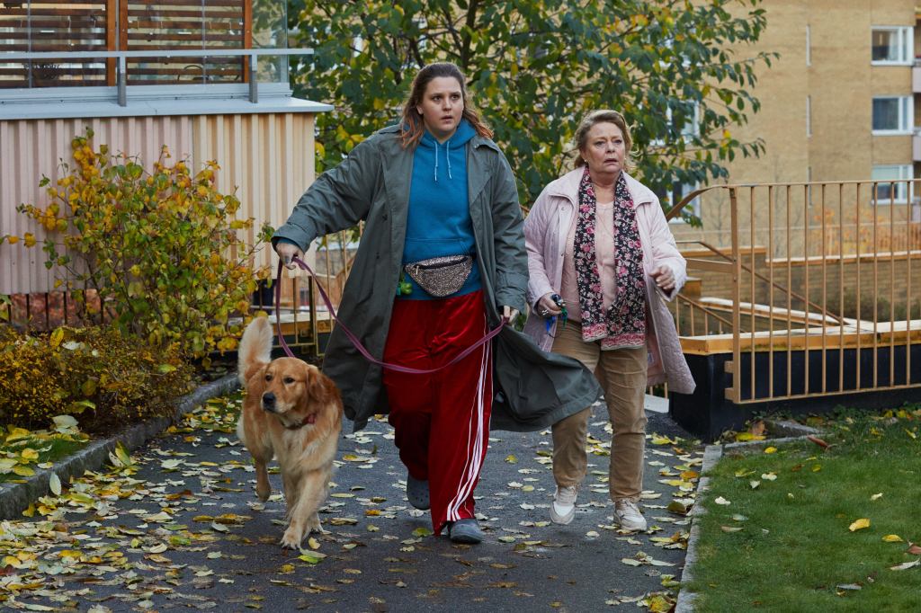 netflix-thank-you-im-sorry.jpg