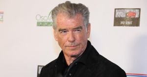 Pierce Brosnan Enters Guilty Plea