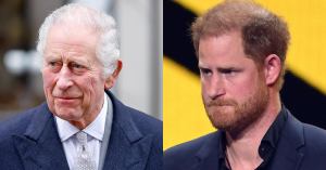 Prince Harry Just Snubbed King Charles and Prince William