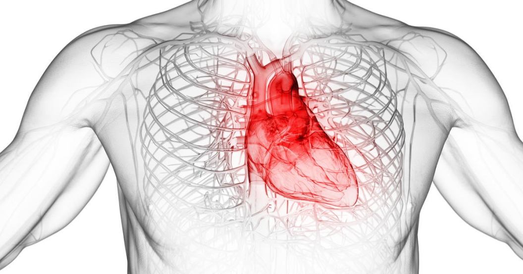 Inflamed heart, illustration