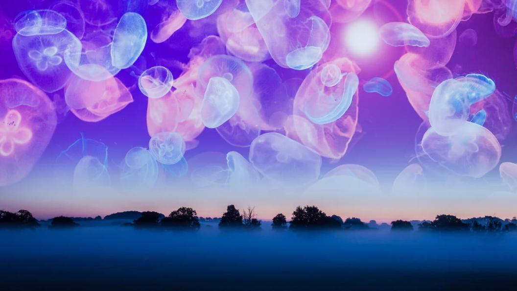 A moody science fiction concept, of UFO light beams landing in a field coming down from the sky. On a foggy spooky night.