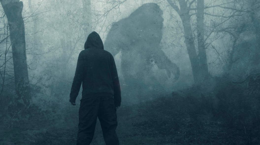 A dark scary concept. Of a man watching a mysterious bigfoot figure, walking through a forest. Silhouetted against trees. On a foggy winters day. With a grunge, textured edit.
