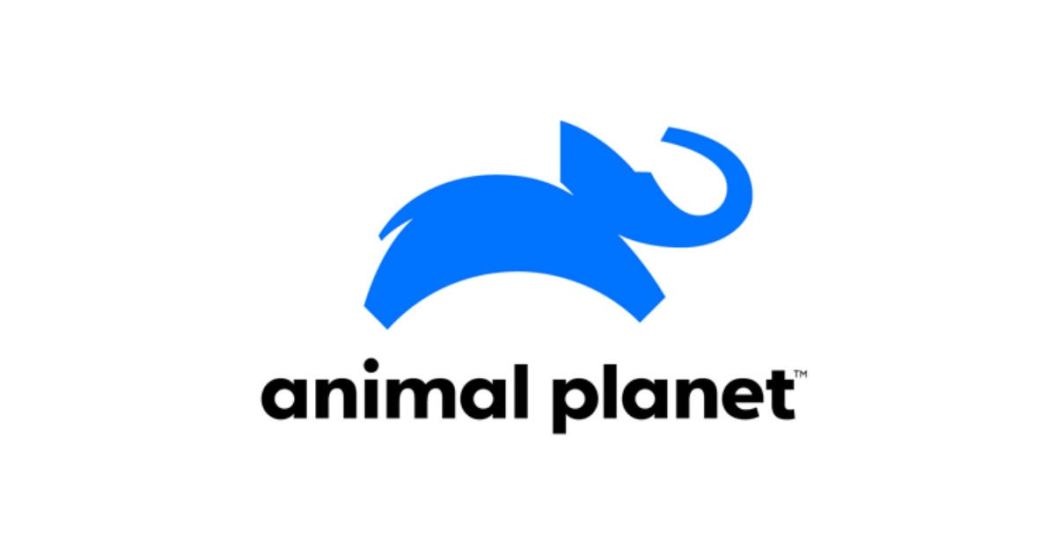animal-planet-logo.jpg