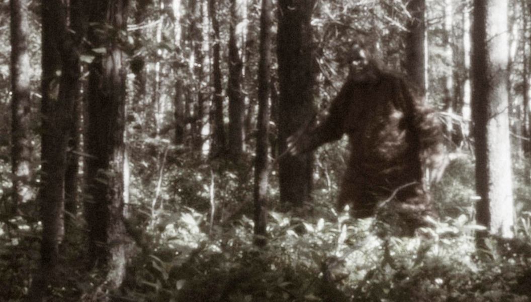 Sasquatch Sighting