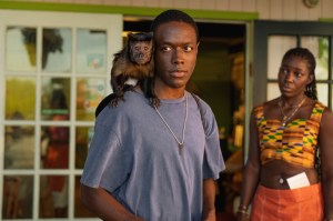 PETA Suggests ‘Bad Monkey’ Should Kill Off Its Monkey As Fans Await Season 2 Renewal