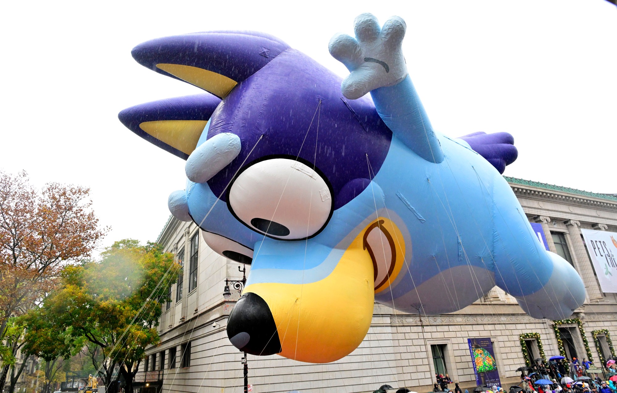 The Bluey Thanksgiving Balloon Pop, Explained - PopCulture.com